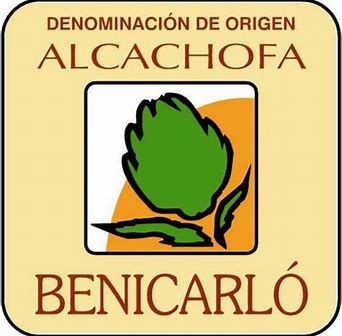 Alcachofa Benicarló